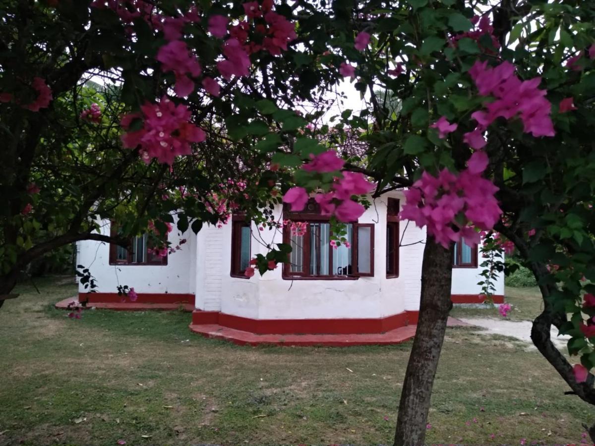 Colonial Surfing Villa Hostel & Home Stay ميديغاما إيست المظهر الخارجي الصورة